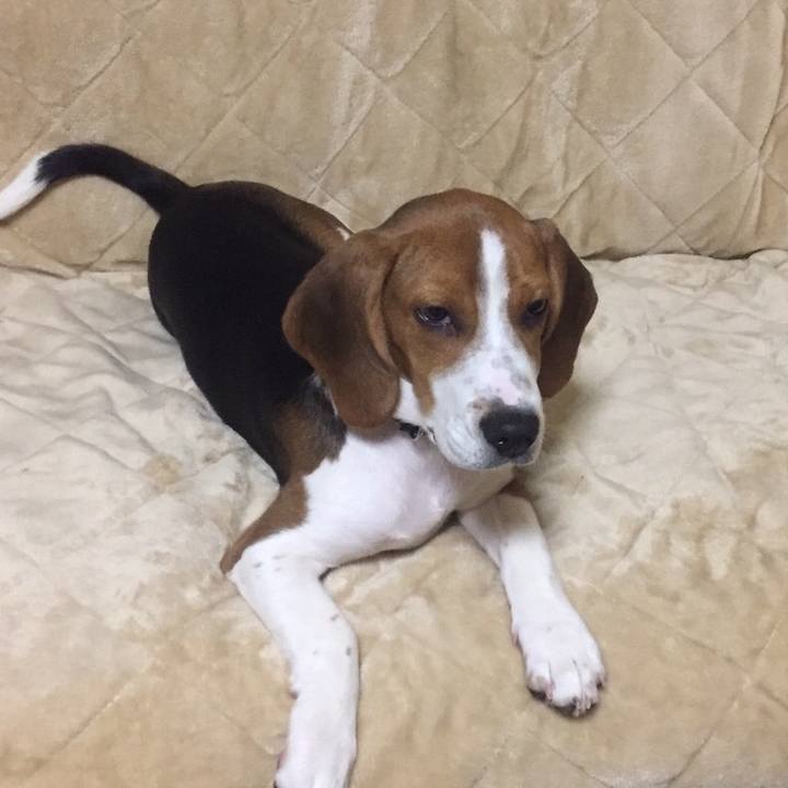 76db415c b810 44e7 9f90 9e7a6c9d71b3 1517669128316