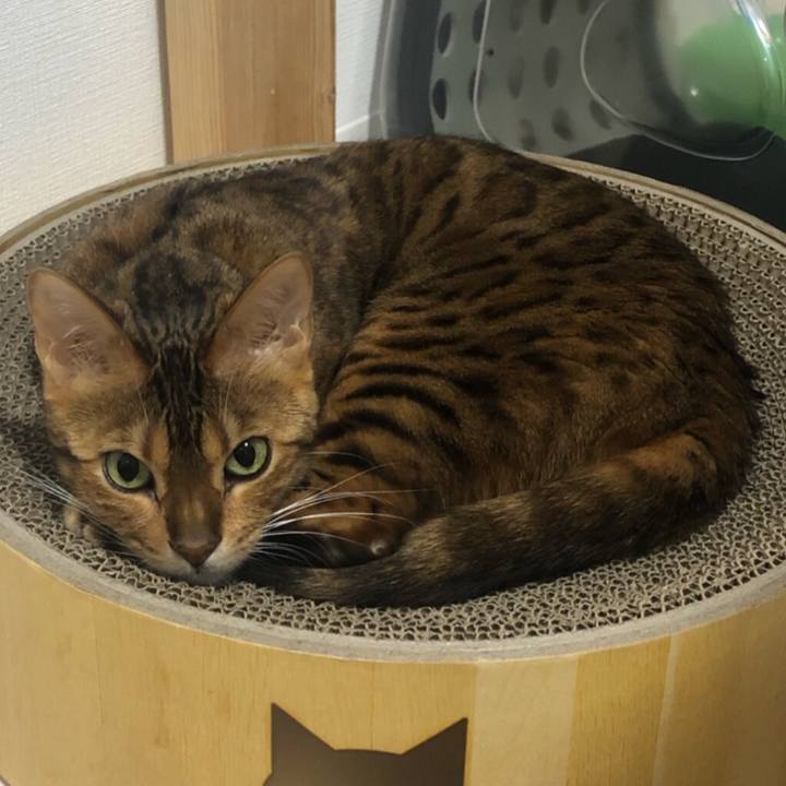 76db4372 435a 4468 ac1a f84b962dc085 1565838761719