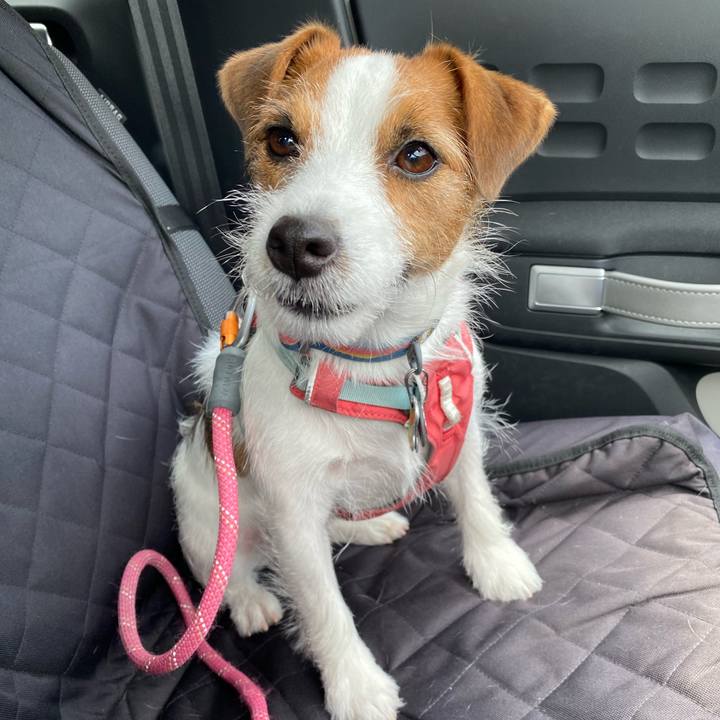 76db9299 2fd0 41fb 8029 bbc13d012275 1761393107257