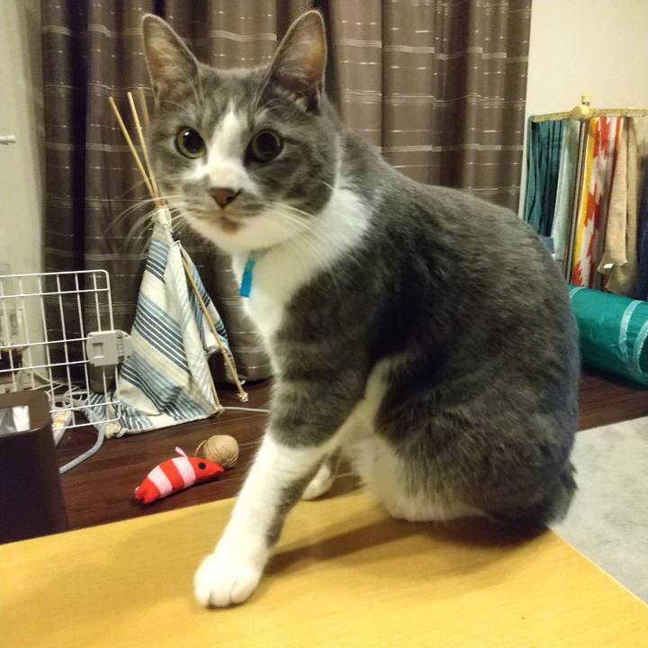 76dbd1d5 c159 4a23 9466 45cb9155f646 1605183715383