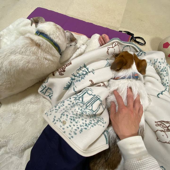 76dbd292 4e5a 4f80 b363 cdf206b4e3f6 1716733035661