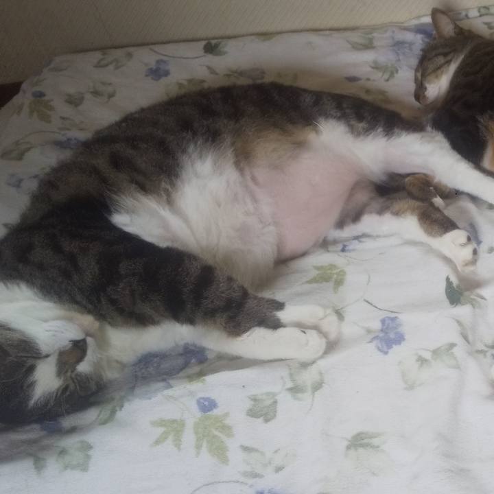 76dbf5be 563f 485d b1ab 9ddb243d6d1a 1747878981395