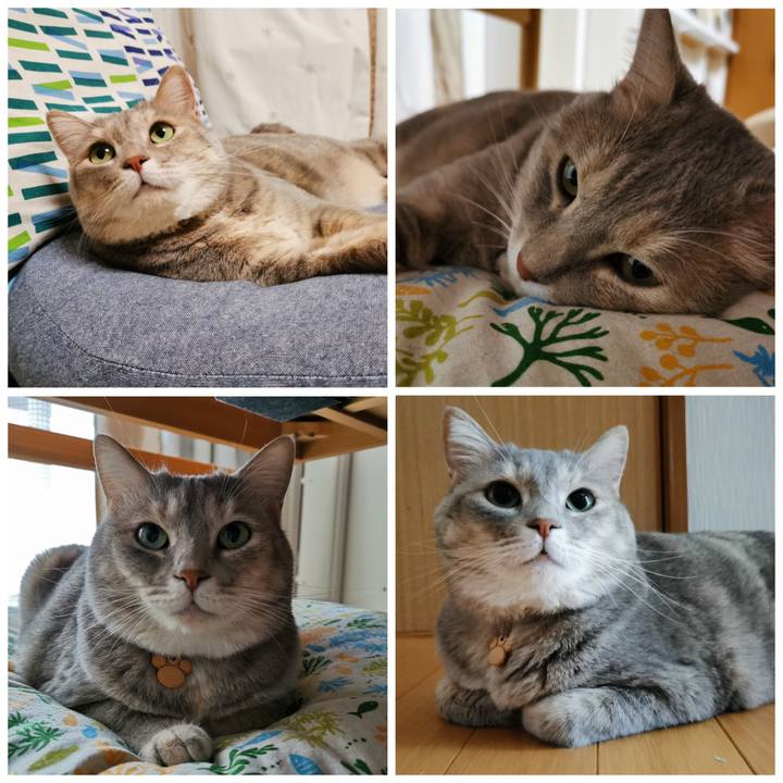 76dbfe2e 2a4e 4e3c a0ee 0c57178ecc12 1630333797628