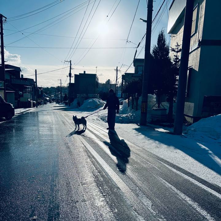 76dc39dd d353 4bb9 8822 7b67695e81cd 1743200471052