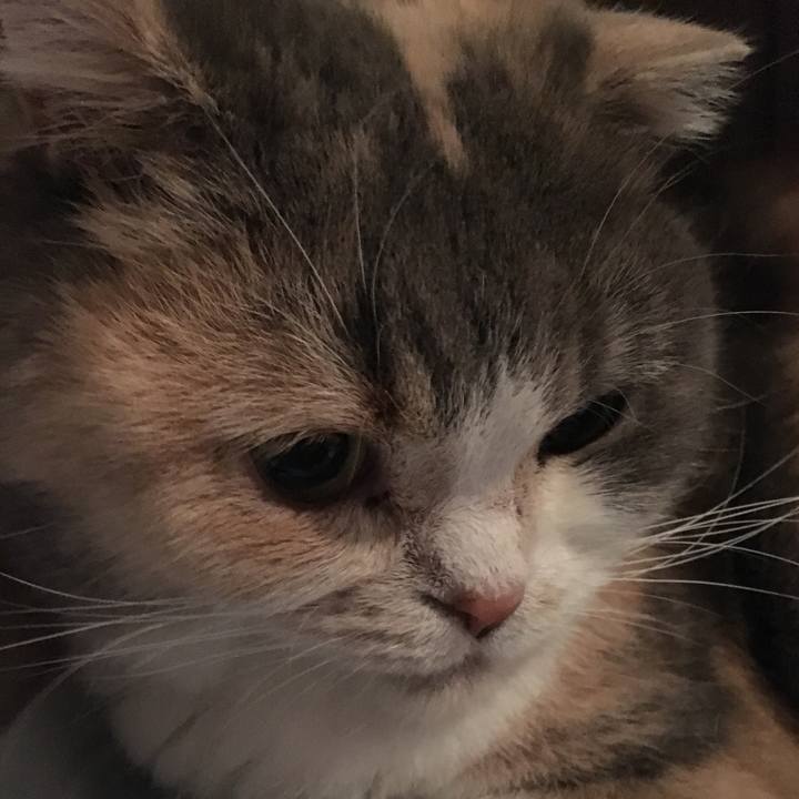 76dc3b18 b8cf 4dfe b5a4 fa86d16bdb3a 1545392061488