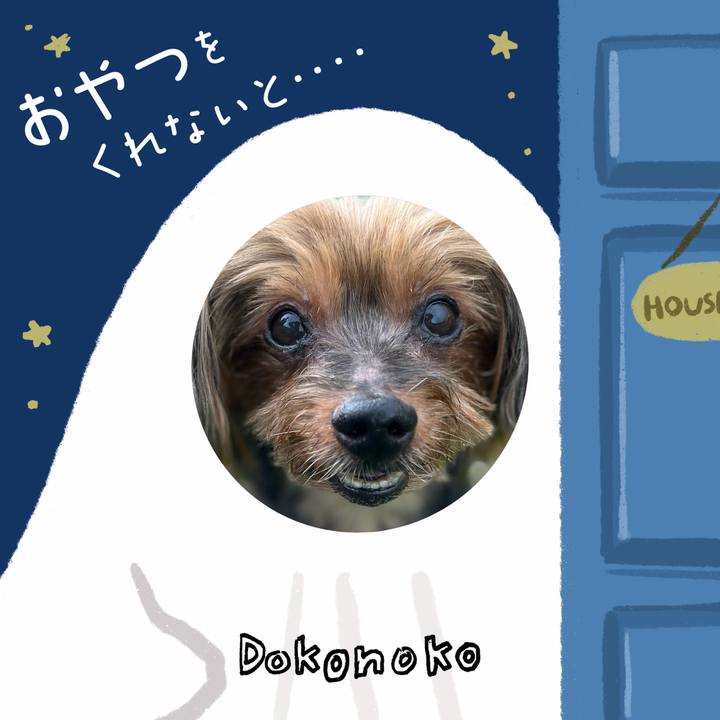 76dca5b5 e397 4c05 85b7 0ad0a0fe92f5 1729169716301