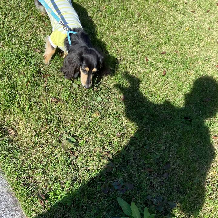 76dce93c 8271 4255 970d 4a489e182ede 1731814801857