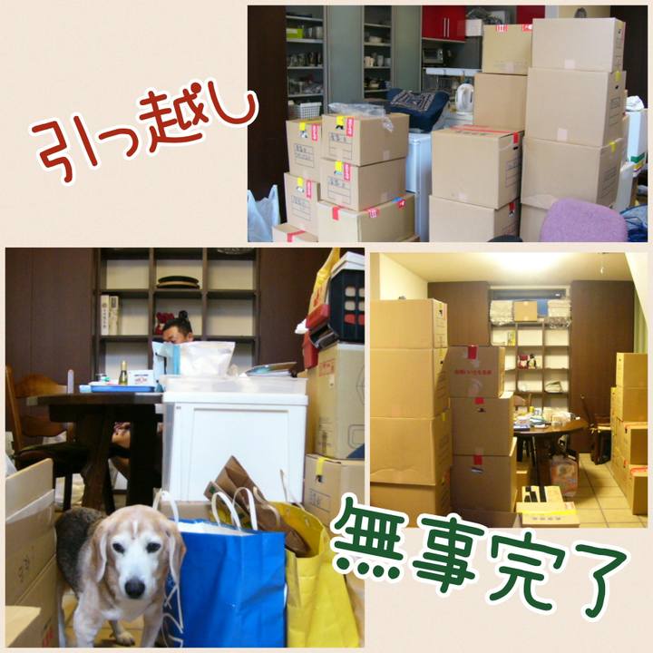 76dd2401 6a1f 4dfd ad13 a0d506cf6b8f 1687135103500