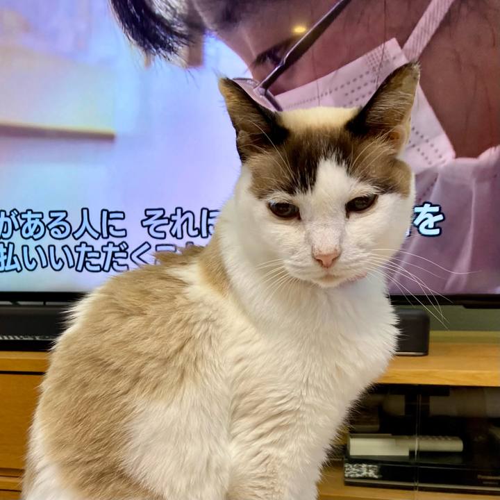 76dd3964 d58d 431b b230 7254e84fa002 1675908626697