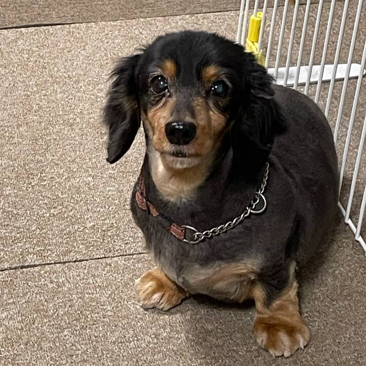 76dd5018 c6d5 4bab ab02 f0bdeb03fa35 1639345870897