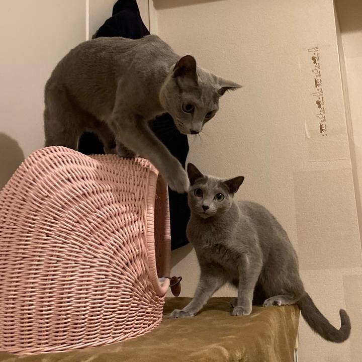 76dd80da 1c27 43b0 a25a 4eb7551b4543 1671145664248