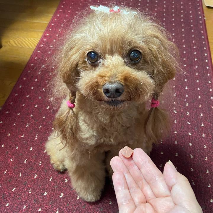 76dd8b57 12f9 4444 8966 30120234d1bf 1759272337174