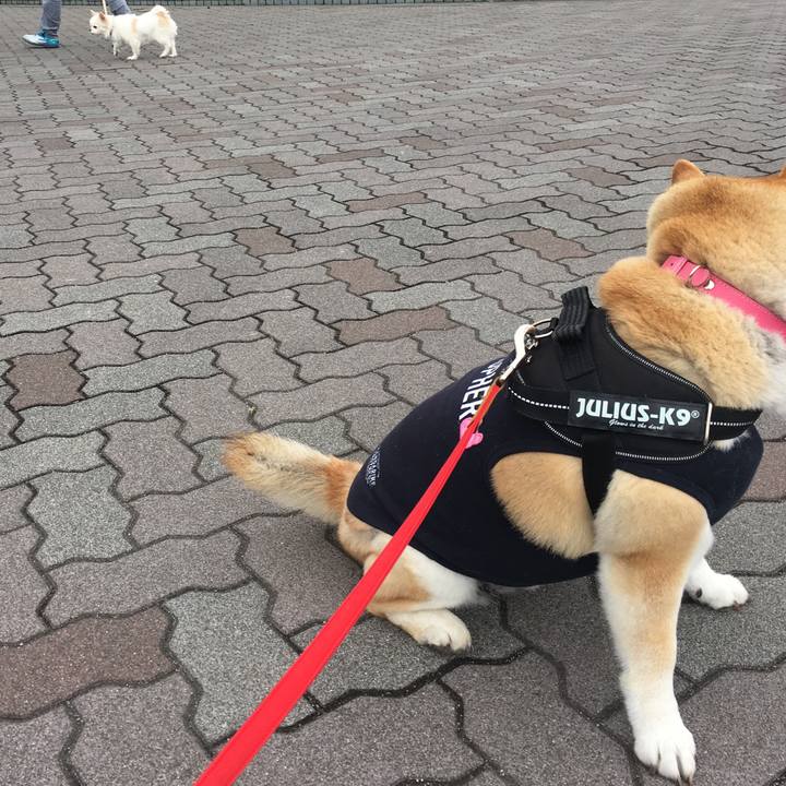 76ddd78c 634f 44e2 8181 2525af4353ca 1583564329335