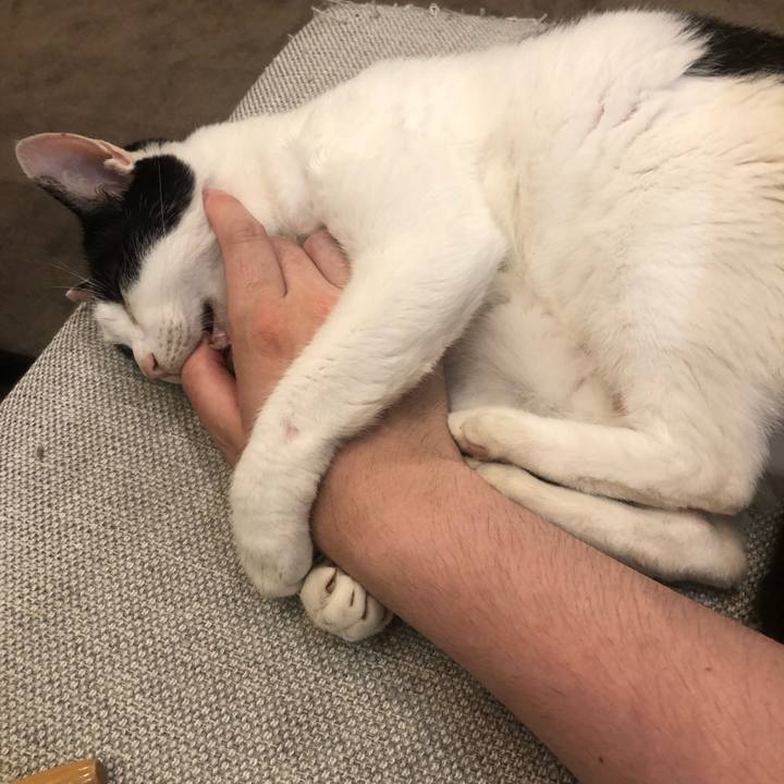 76dde514 2380 45d6 b758 999f6b59e296 1654082197944