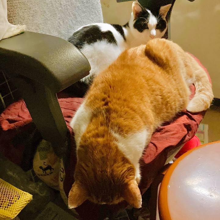 76de3981 e818 4377 9b3c 525005c7082e 1717045947717