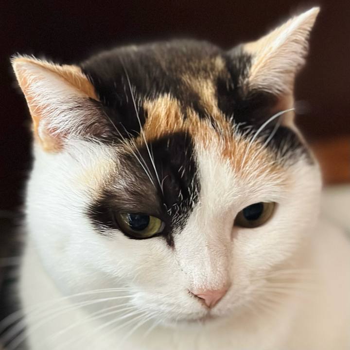 76de77cb 6dba 4858 941f e58a23fabc2a 1674273099451