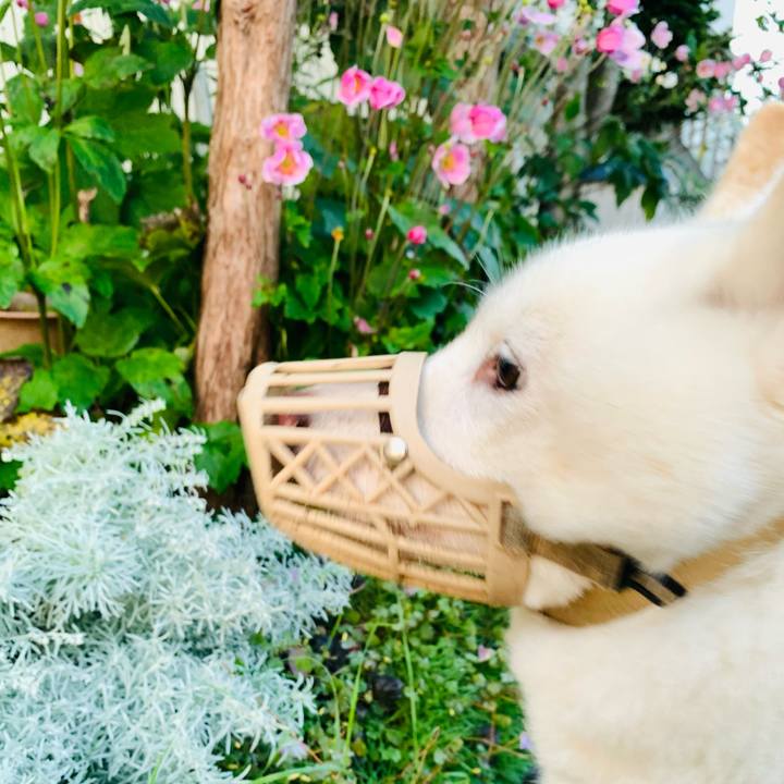 76de8b70 0815 49be 8eb0 bb4eb073a792 1664485708611