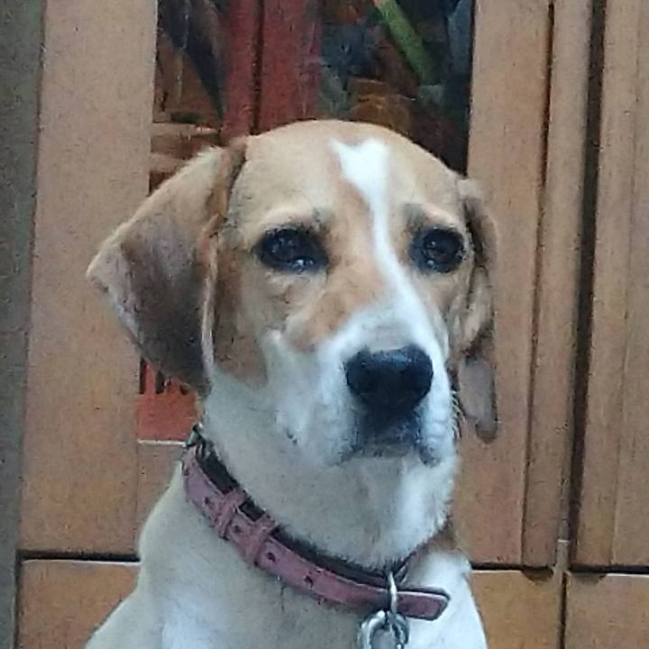 76dea1e0 f9d8 4467 9de8 4bb49fe51432 1598783724244