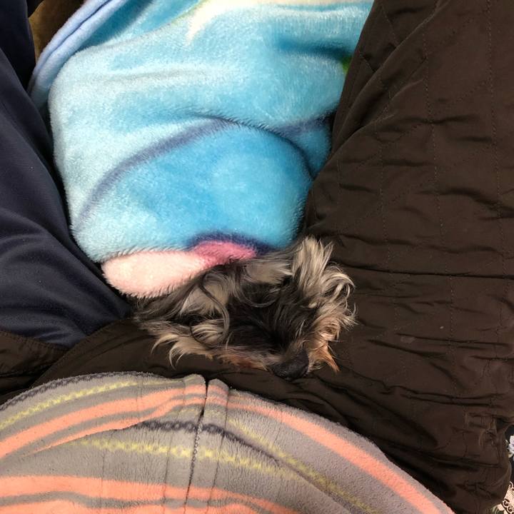 76dec99e a74c 42a4 a535 7c84b5559b88 1610864185665