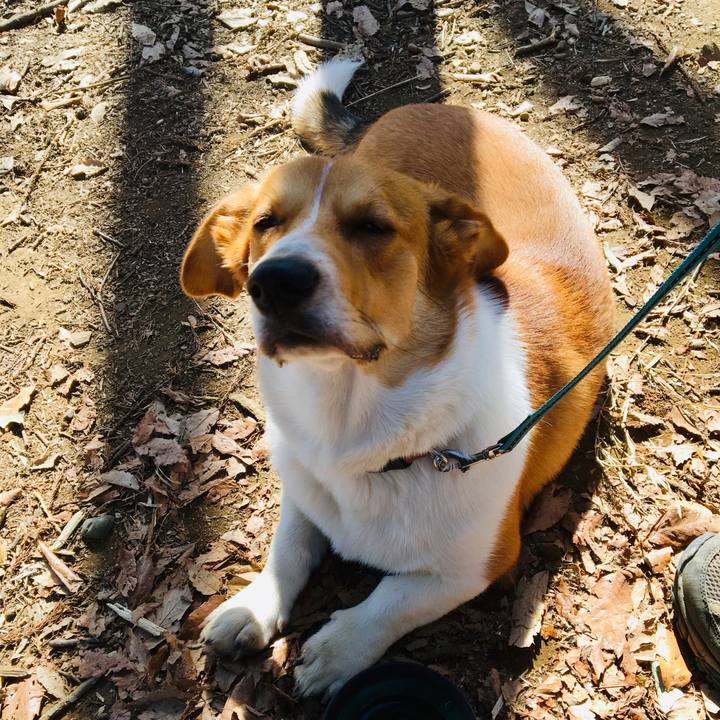 76df04bc 8f96 418d acd9 2e1816a8a416 1614472147965