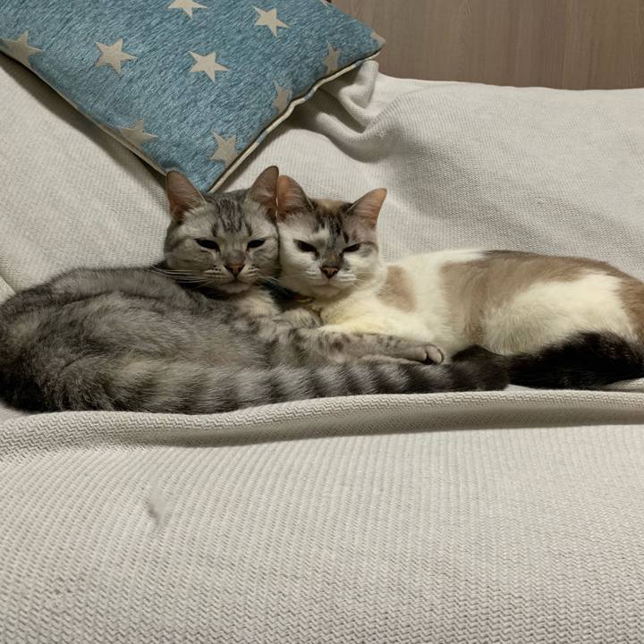 76df06ad 3a9c 44a0 8e9e 40eaaa9c6626 1565146395169