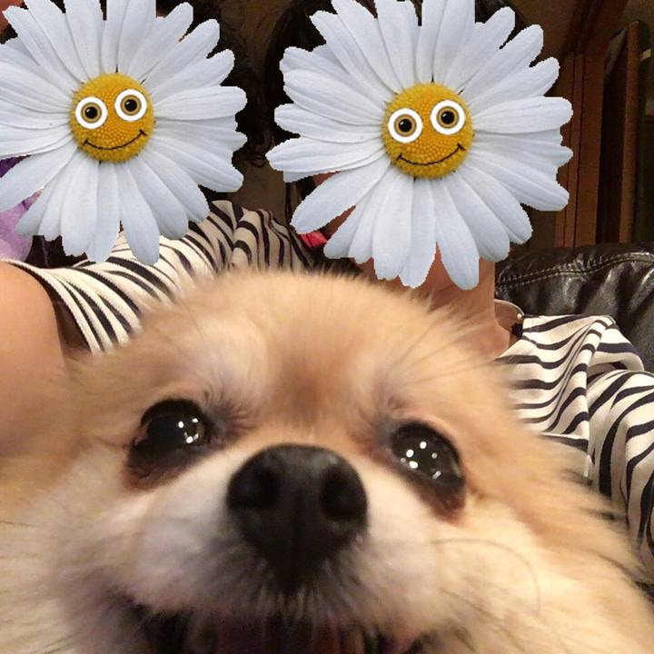 76df387d 68fb 4509 ad07 b3dc554030d4 1523491962928