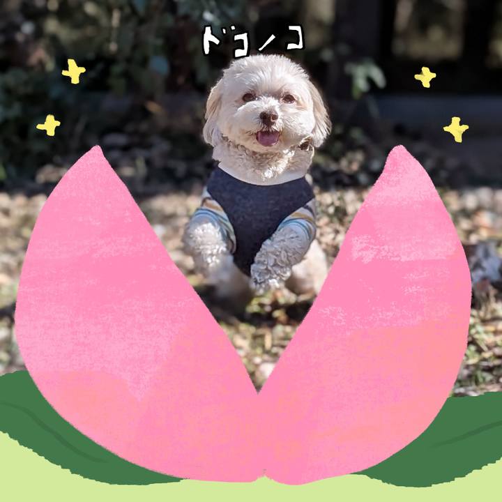 76df3c04 7020 49d8 807b 391e997feab8 1771983448248