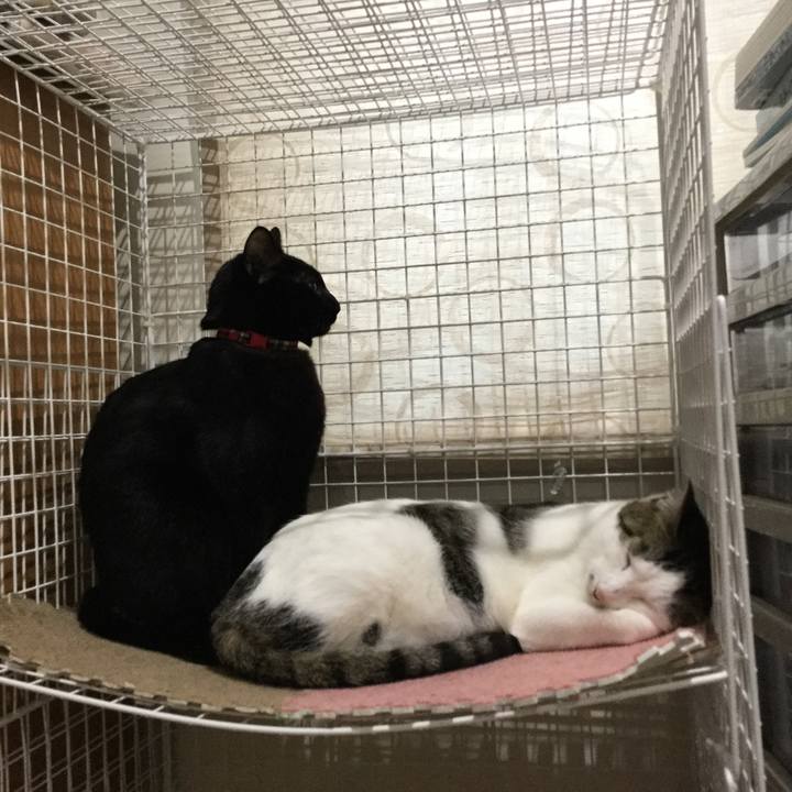 76df3efd e15f 4ecd 9a3d 51cadf742e31 1512345711474