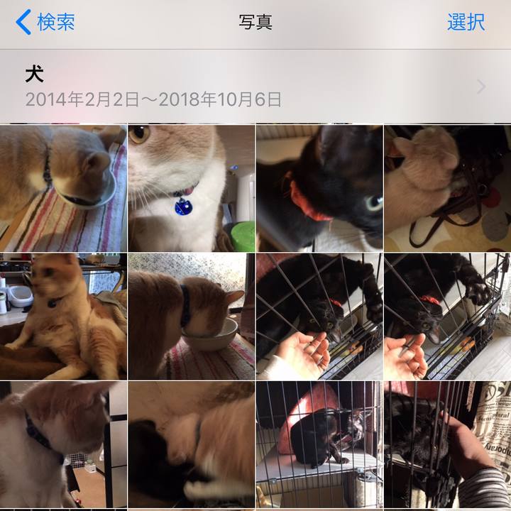 76df8e73 4f6c 4716 90cf bd1b01d39b2e 1539141682056