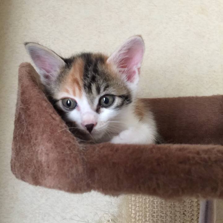 76dfb12c 6d49 4e54 8ecb 23aecb7deb05 1629242811133