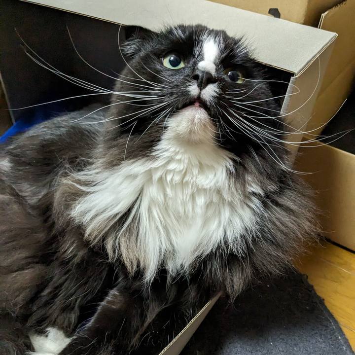 76dfbd56 7b4e 49b6 b04f 8185048968af 1706361085572