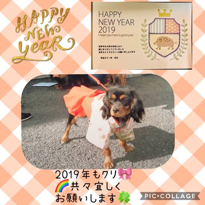 76dfe6b6 8f27 4c1d 92a1 760bd8fe04df 1546320183878