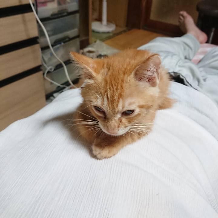 76dffa2f eb76 418d b4f8 17161c92c765 1629627511740