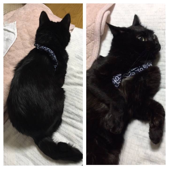 76dffdf6 2004 4997 8334 1a8d9d7efd54 1552828529058