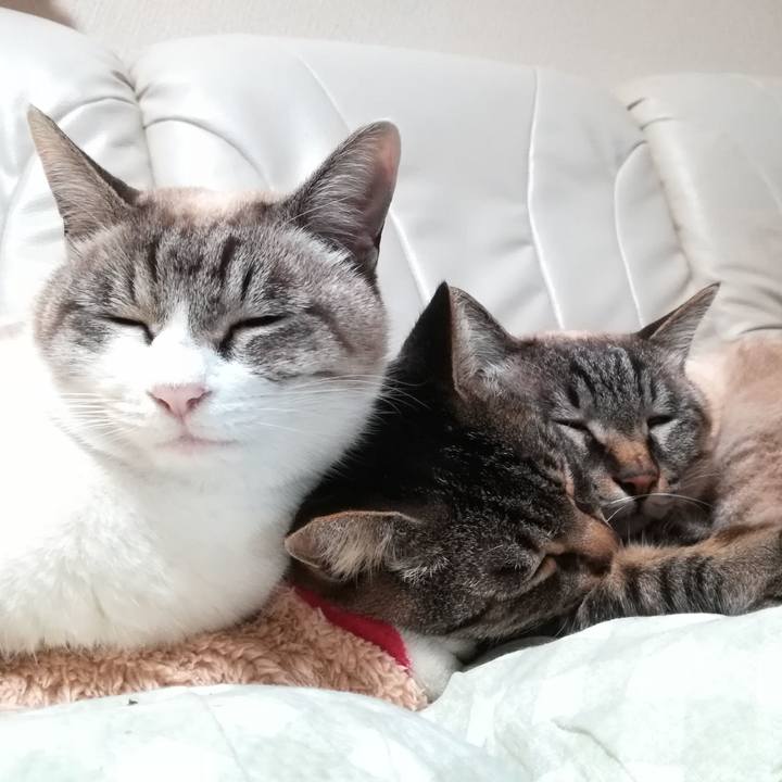 76e004ca 9eb2 4426 aa9e a29423723f5e 1579092206594