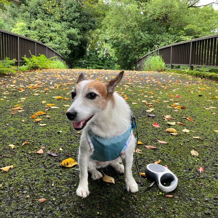 76e03588 77b9 4de1 aa77 c308066842f1 1662506730114