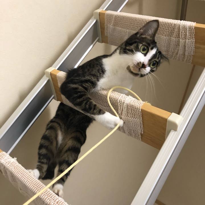 76e05969 265a 4a74 86e5 4ed221492509 1548487597588