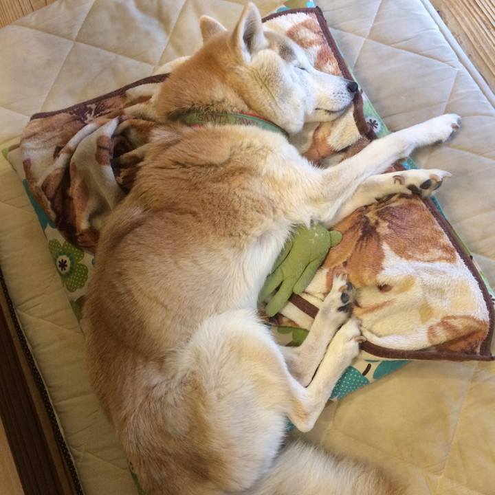 76e05ecd a3d5 466f 835b 30bc04f07881 1575260271669