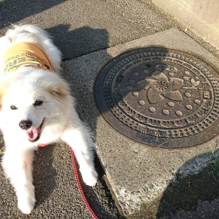 76e0637c 475a 471c 8a5e 434ad3f799cf 1531171699460