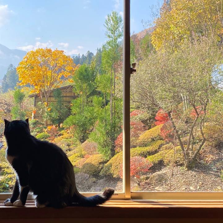 76e066a2 d867 4d8f baa3 4051c67cdd18 1604967989487