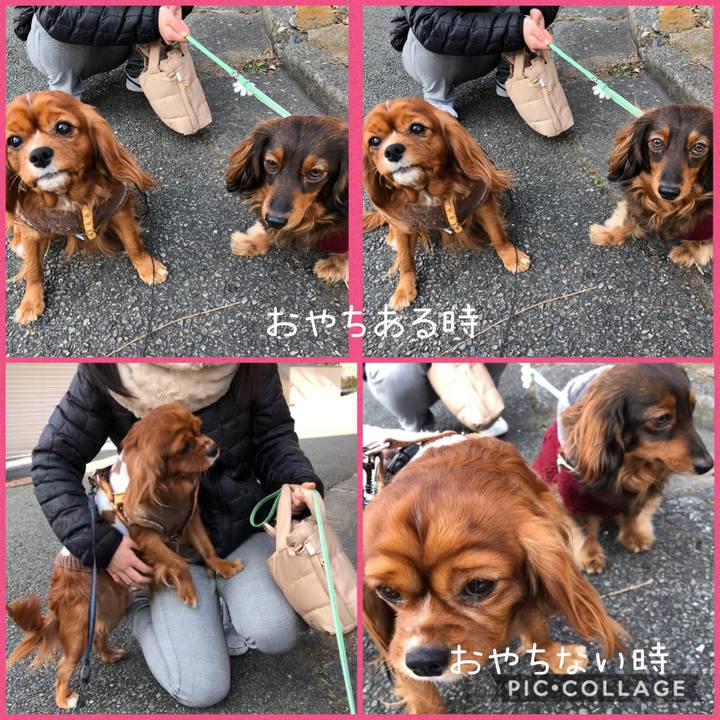 76e08b85 383a 4d21 ad7c 018da4e35051 1581296675108