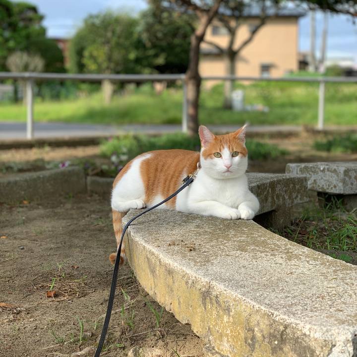 76e0b227 8af2 4990 a863 9af28d017ebe 1600597763831