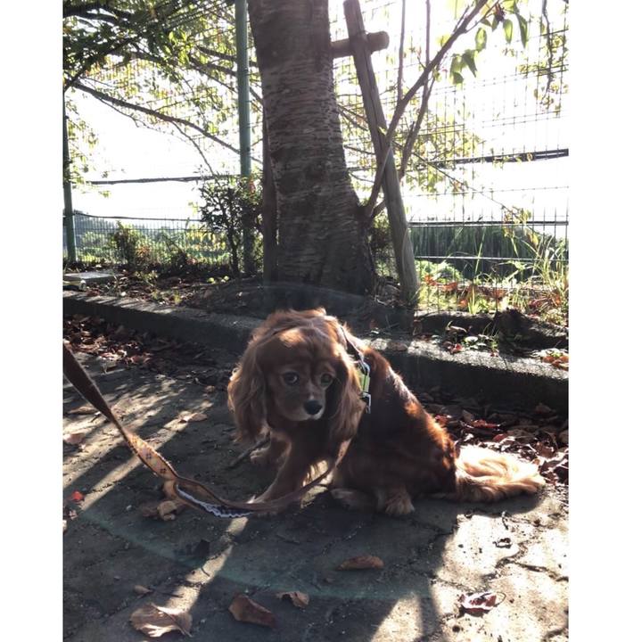 76e0b261 49ee 4da6 8707 a27add4a5578 1633304615187