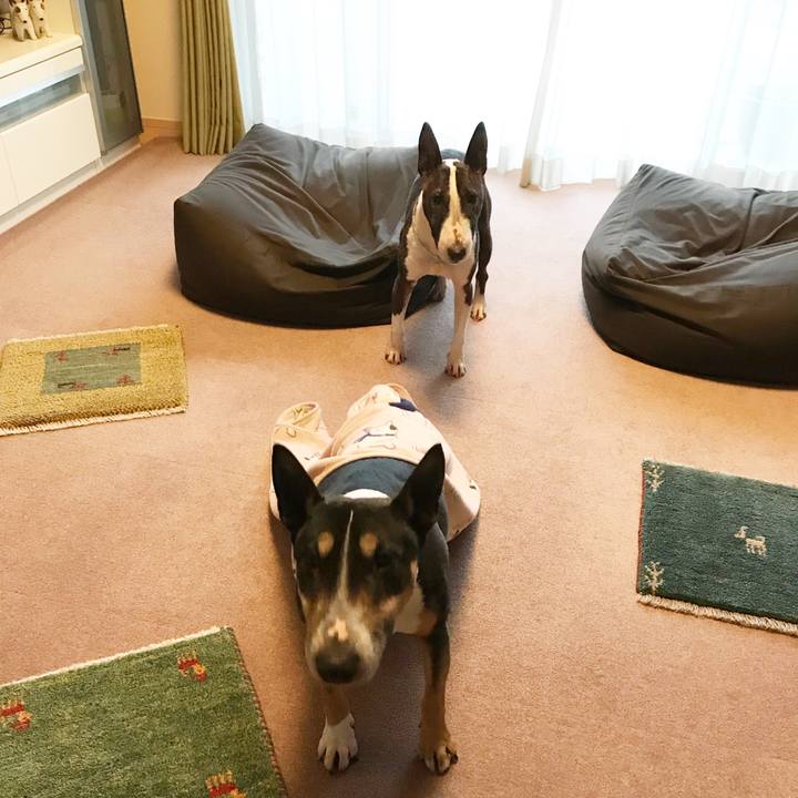 76e0db6c 7d84 4329 9cf1 0eb149e9152a 1519723018712