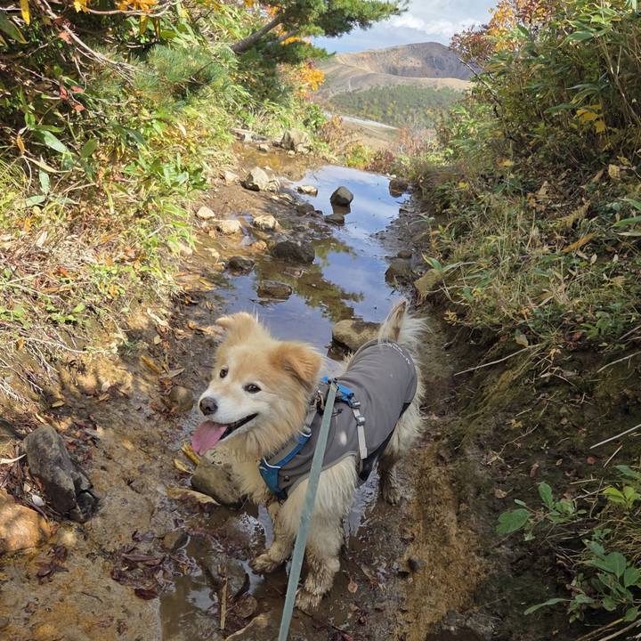 76e0eb26 e4ce 48b1 b9d6 445d1419a837 1759796010038