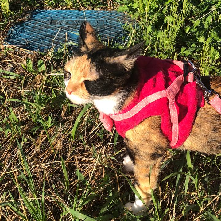 76e0fb84 eb5c 4cb9 a9b6 b99461ea7e31 1632954136884