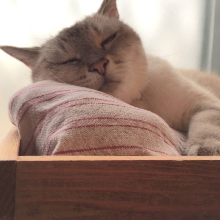 76e13dfc 9176 4962 b256 4a1364594867 1566517520673