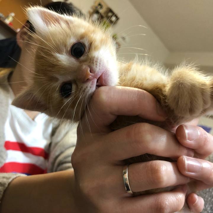 76e14ee7 4374 4275 8467 fd035fa664dd 1560396402037