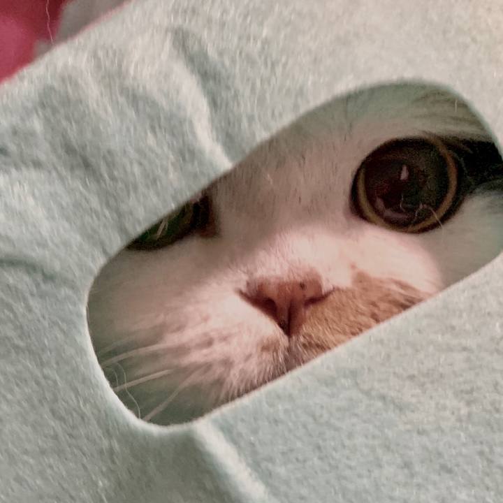 76e16f46 bb14 433d a155 d8596e0604a0 1570195125302