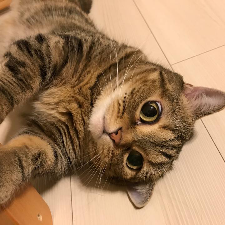 76e1877d 3b00 46c7 b521 cc1d5265f55b 1532697485250